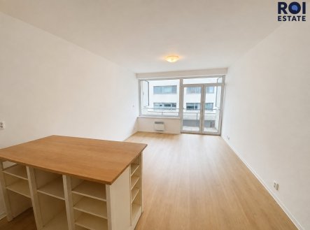 Pronájem bytu, 1+kk, 41 m²