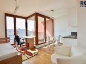 Pronájem bytu, 1+kk, 30 m²