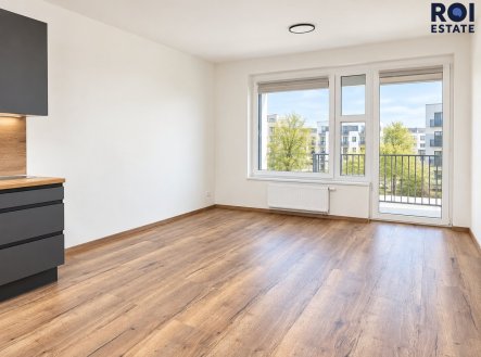 0cd7608e-e3c8-4c70-a929-05bf3b856d3a | Pronájem bytu, 2+kk, 63 m²