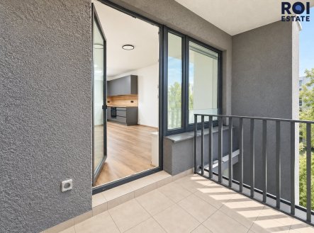 493f6117-64e4-40a0-a745-e11f51f7801c | Pronájem bytu, 2+kk, 63 m²