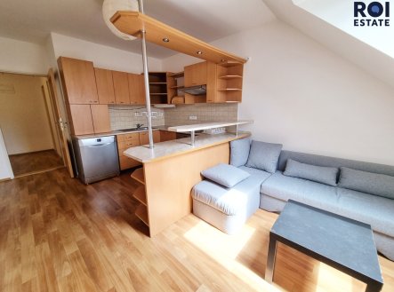 Pronájem bytu, 2+kk, 47 m²