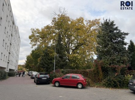 Pronájem bytu, 2+kk, 56 m²