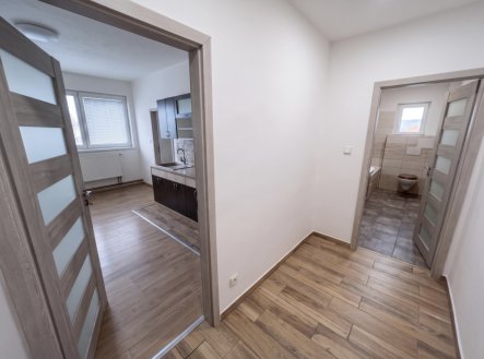 Prodej bytu, 2+kk, 42 m²