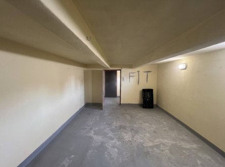Pronájem skladu, 46 m²