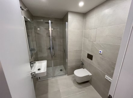 Pronájem bytu, 2+kk, 54 m² obrázek