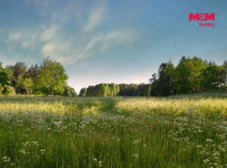 Prodej pozemku, trvalý travní porost, 5 225 m²