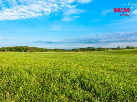 Prodej pozemku, trvalý travní porost, 5 225 m²