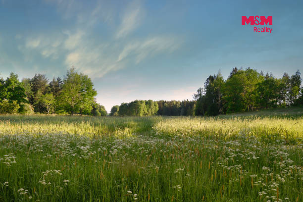 istockphoto-1363784248-612x612.jpg