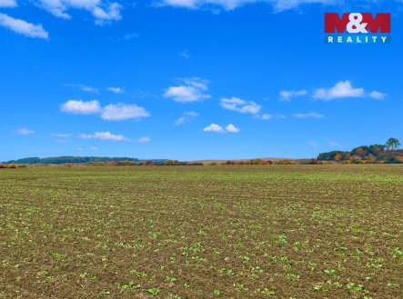 Prodej pozemku, zemědělská půda, 7 125 m²