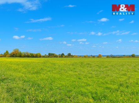 Prodej pozemku, zemědělská půda, 6 671 m²