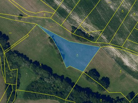 Prodej pozemku, trvalý travní porost, 3 101 m²