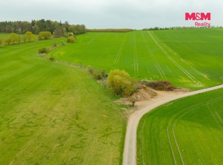 Prodej pozemku, trvalý travní porost, 730 m²
