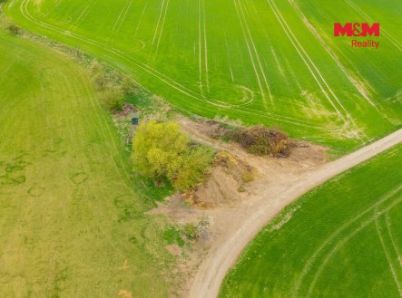 Prodej pozemku, trvalý travní porost, 730 m²