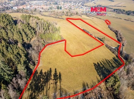 Prodej pozemku, trvalý travní porost, 25 808 m²