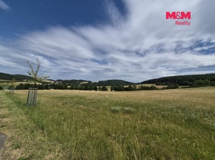 Prodej pozemku, trvalý travní porost, 25 808 m²