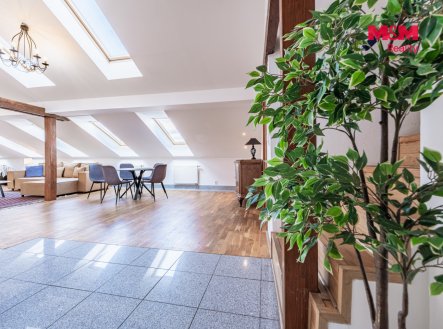 Prodej bytu, jiný, 300 m²