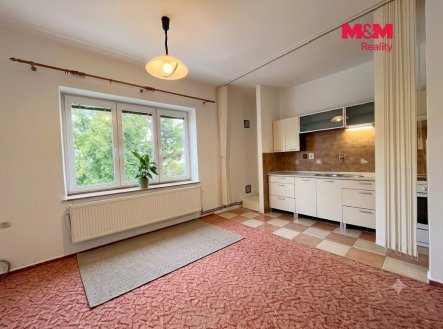 Prodej bytu, 1+kk, 40 m²