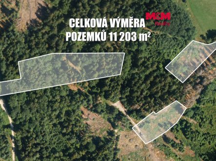 Prodej pozemku, les, 11 203 m²