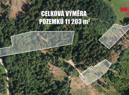 Prodej pozemku, les, 11 203 m²