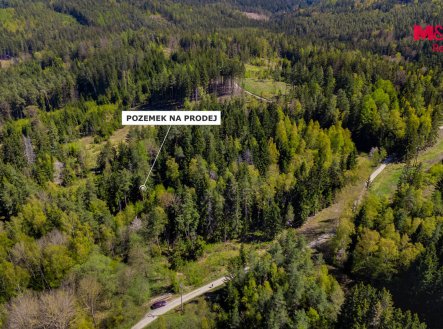 Prodej pozemku, les, 11 203 m²