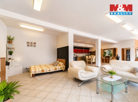 Prodej domu/vily, 650 m²