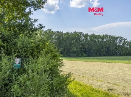 Prodej pozemku, les, 11 971 m²