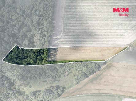 Prodej pozemku, les, 11 971 m²
