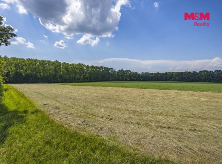 Prodej pozemku, les, 11 971 m²