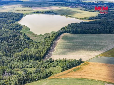 Prodej pozemku, les, 11 971 m²