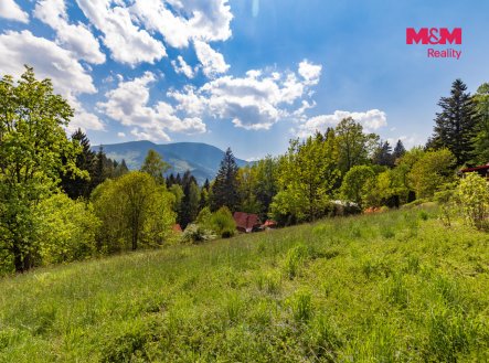 Prodej pozemku pro bydlení, 3 902 m²