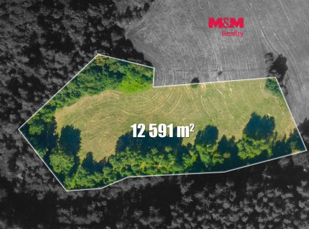 Prodej pozemku, trvalý travní porost, 12 591 m²