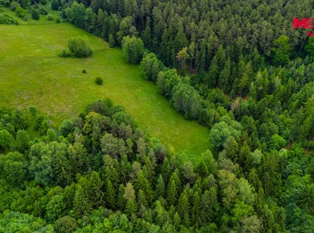 Prodej pozemku, trvalý travní porost, 12 591 m²