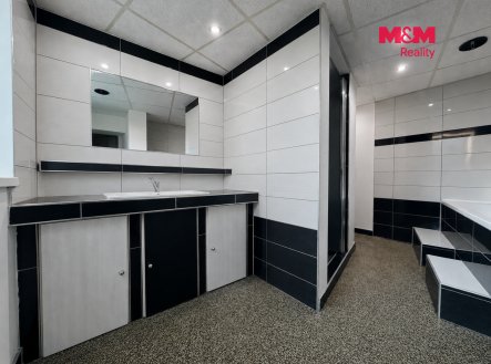 Prodej domu/vily, 306 m²