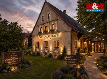 Prodej domu/vily, 380 m²