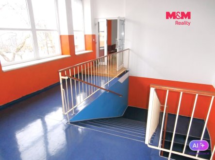 Pronájem obchodní prostory, 335 m²