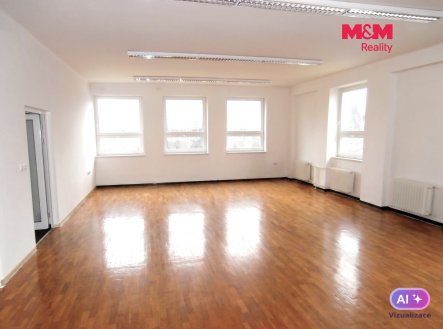 Pronájem obchodní prostory, 335 m²