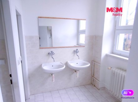 Pronájem obchodní prostory, 335 m²