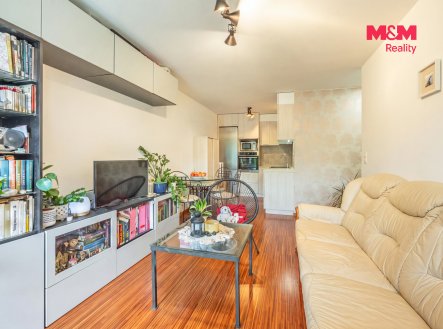 Prodej bytu, 2+kk, 47 m²