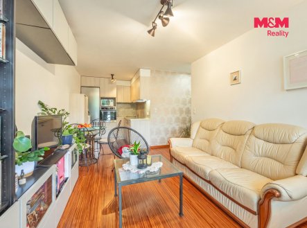 Prodej bytu, 2+kk, 47 m²