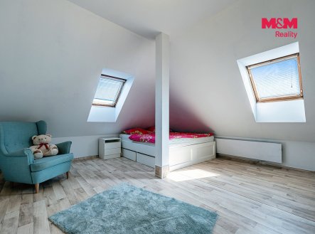 Pronájem domu/vily, 395 m²