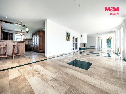 Pronájem domu/vily, 395 m²