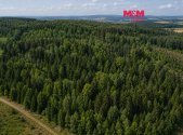Prodej pozemku, les, 48 170 m²