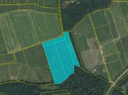 Prodej pozemku, les, 48 170 m²