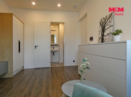 Pronájem bytu, 1+kk, 23 m²