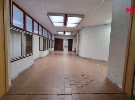 Pronájem obchodní prostory, 270 m²