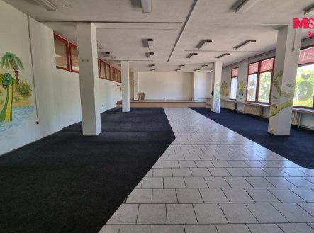 Pronájem obchodní prostory, 270 m²