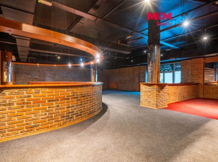 Pronájem obchodní prostory, 324 m²