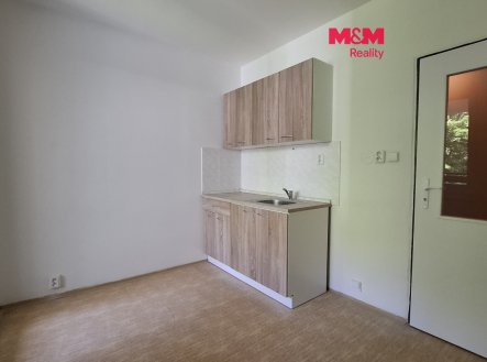 Prodej bytu, 1+kk, 16 m²