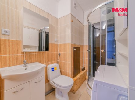 Prodej bytu, 1+kk, 25 m²