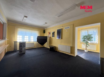 Pronájem obchodní prostory, 349 m²